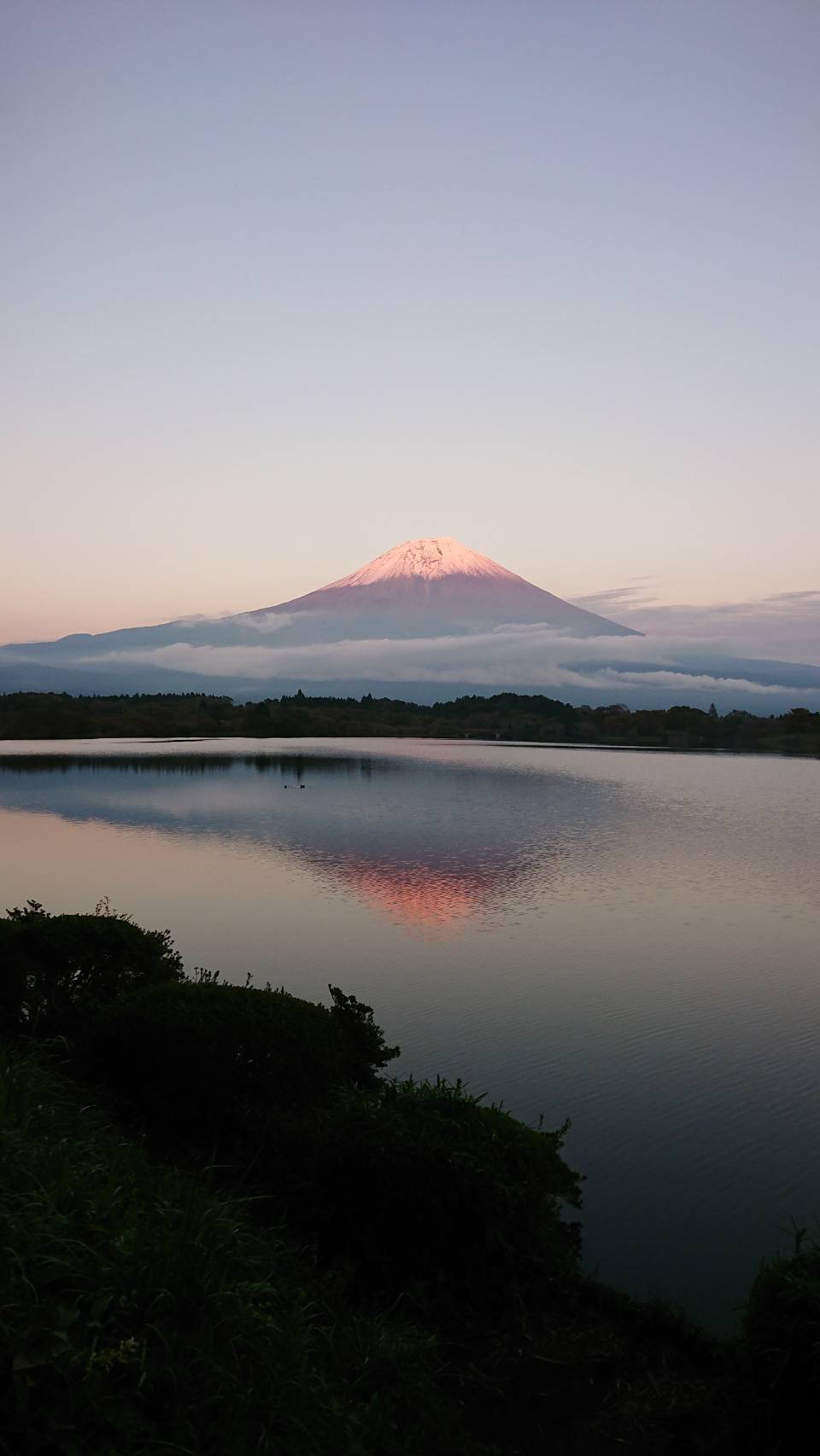 富士山(^^♪