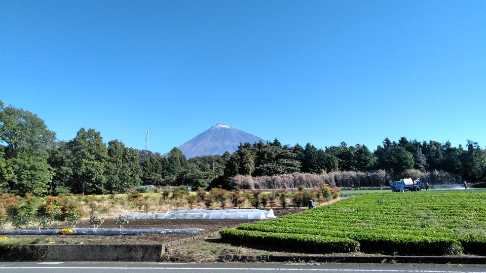 秋の富士山